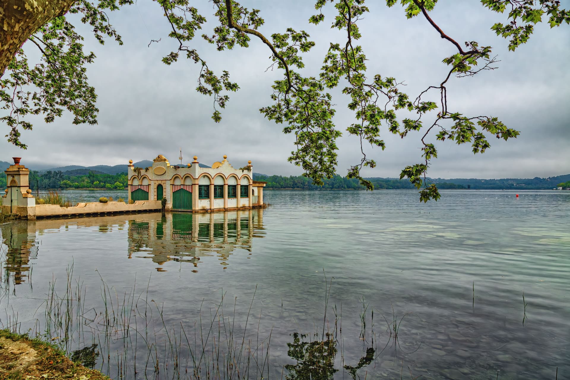 L'Estany de Banyoles amb el banyador de colors i branques verdes